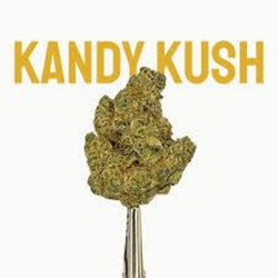 Kandy Kush Wholesale